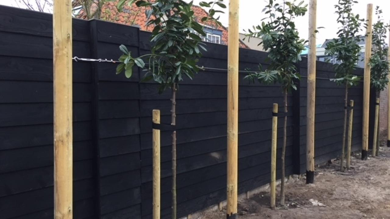 Beurs Eigen Huis Houtdirect.nl hout eiken douglas zweeds rabat