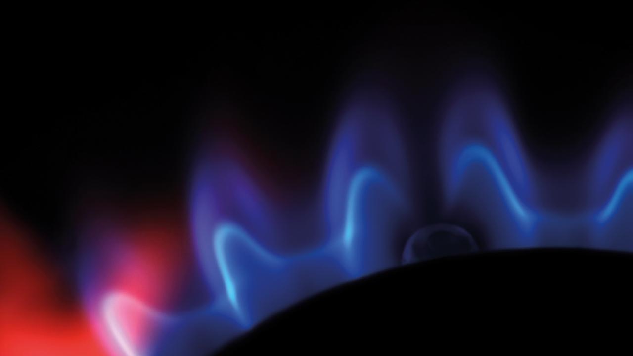 Beurs Eigen Huis - NHK Nederlandse Kaarden en Kachels