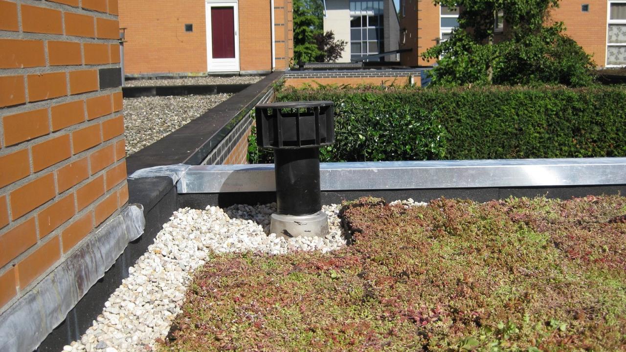 Beurs Eigen Huis - Simpel Sedum