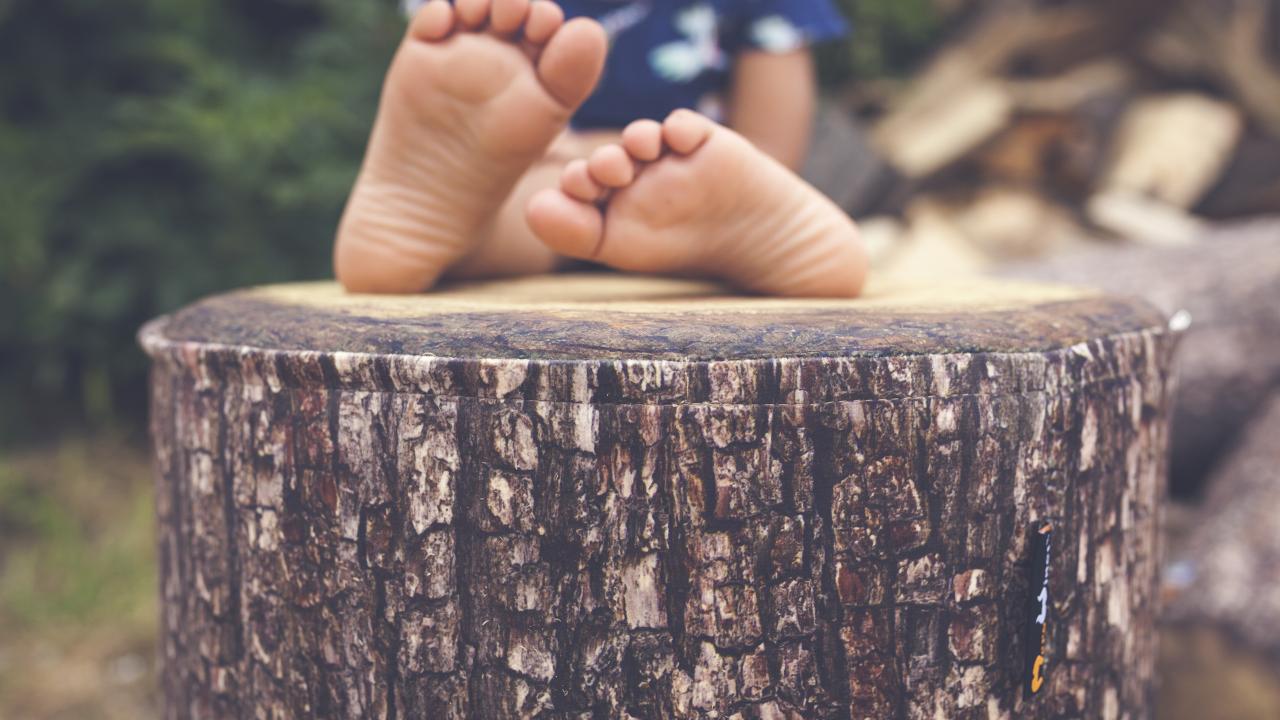 Beurs Eigen Huis - Merowings