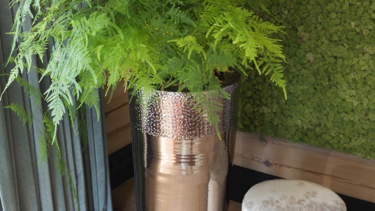 Beurs Eigen Huis - Orangerie Bijleveld