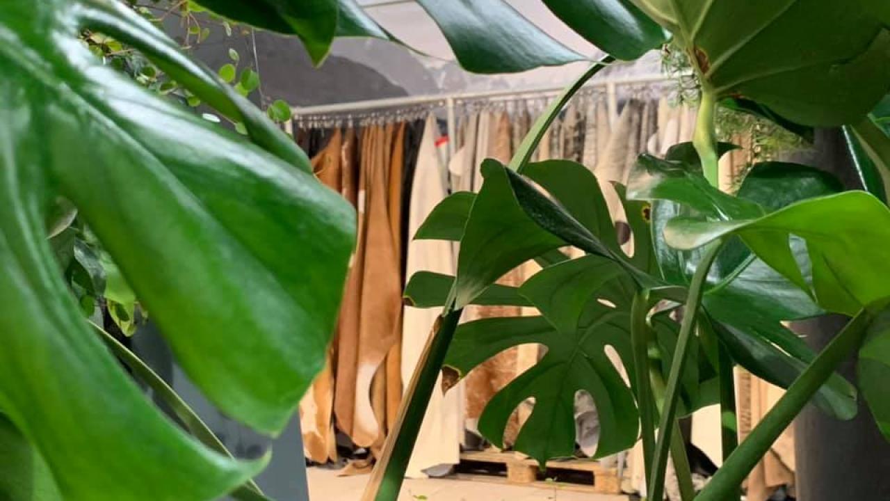 Homedecoration schapenvachten koeienhuiden interieur Beurs Eigen Huis