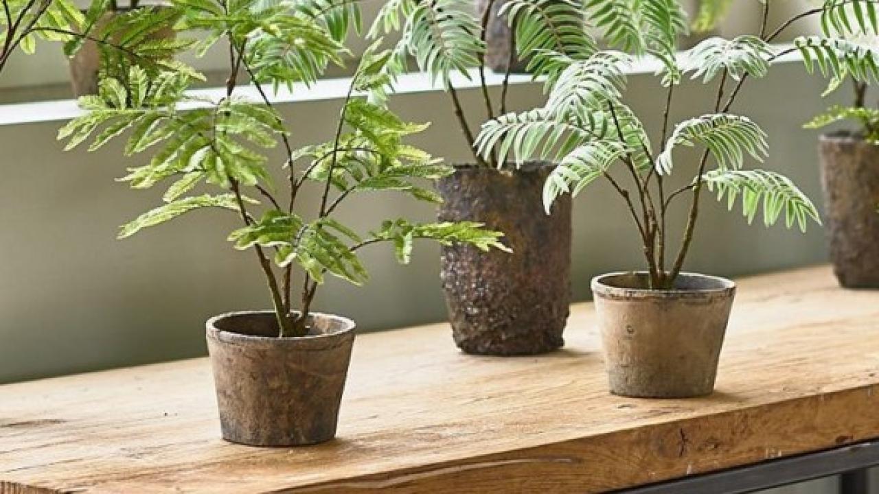 Plant kunstplant droomhuis interieur tips Beurs Eigen Huis