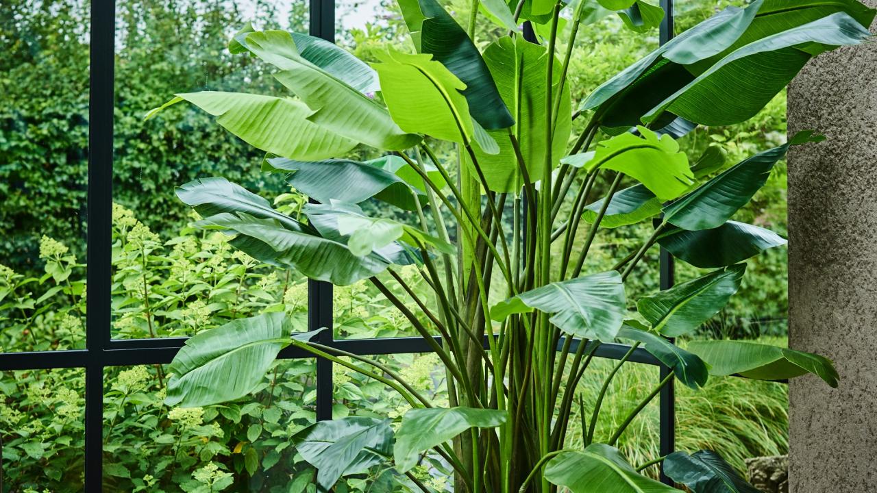 Plant kunstplant droomhuis interieur tips Beurs Eigen Huis