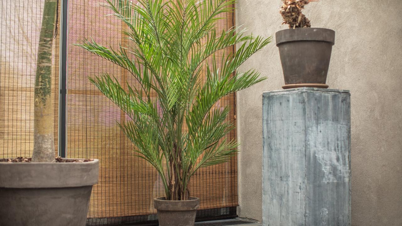 Plant kunstplant droomhuis interieur tips Beurs Eigen Huis