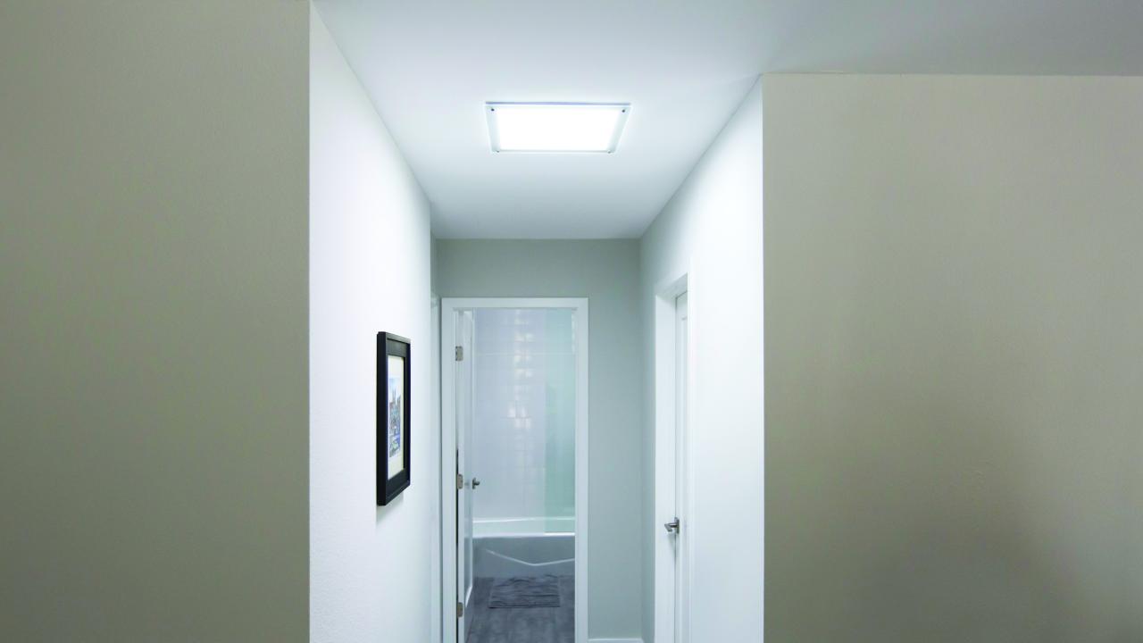 Daglicht droomhuis verbouwen Beurs Eigen Huis