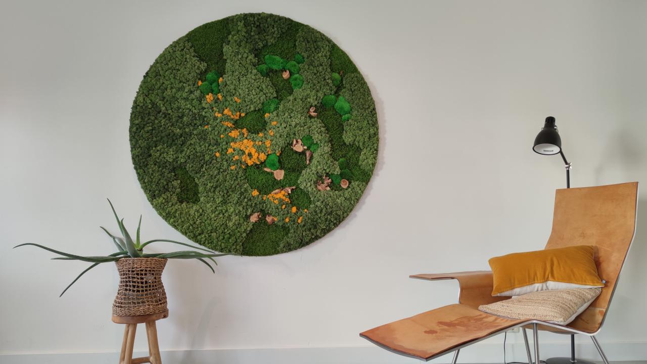 Mos wandbekleding schilderij trend interieur REALISEER JE DROOMHUIS