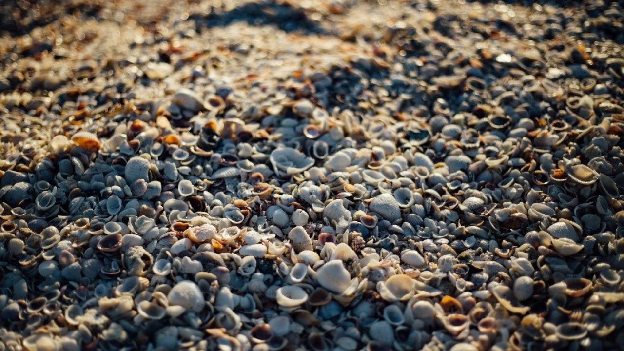 Isolatie kruipruimte verduurzamen duurzaam wonen