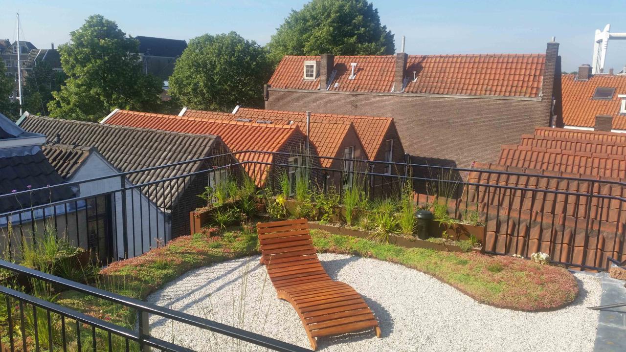 Tuin ontwerp design tuinarchitect DROOMTUIN DROOMHUIS