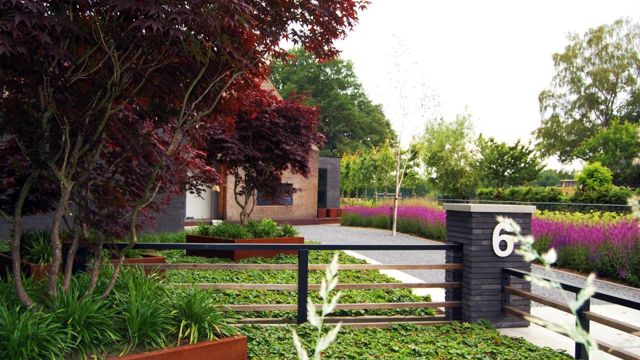 Tuin ontwerp design tuinarchitect DROOMTUIN DROOMHUIS