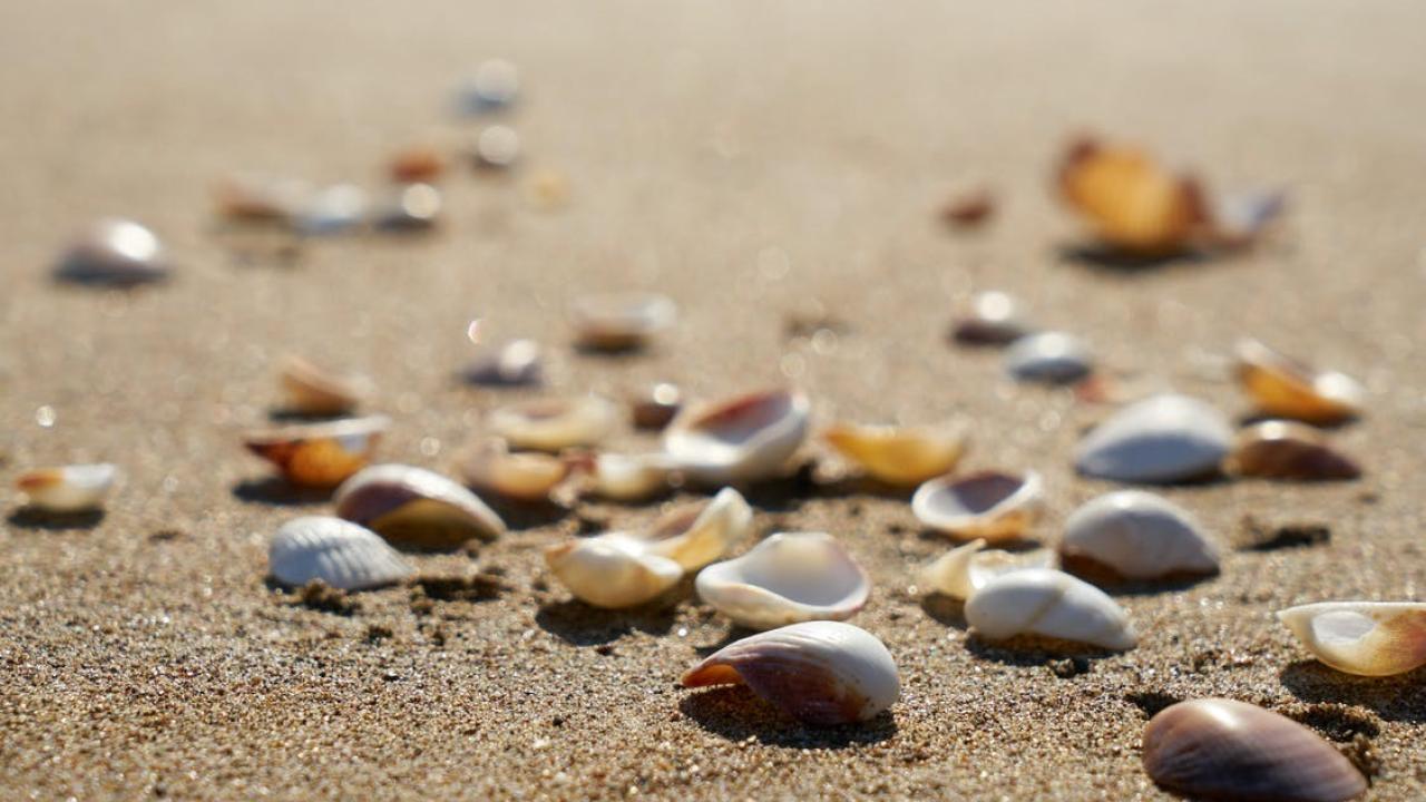 Isolatie verduurzamen droomhuis Beurs Eigen Huis