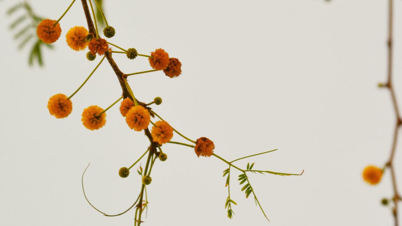 interieur, advies, inspiratie, stylen, restylen, realiseer je droomhuis