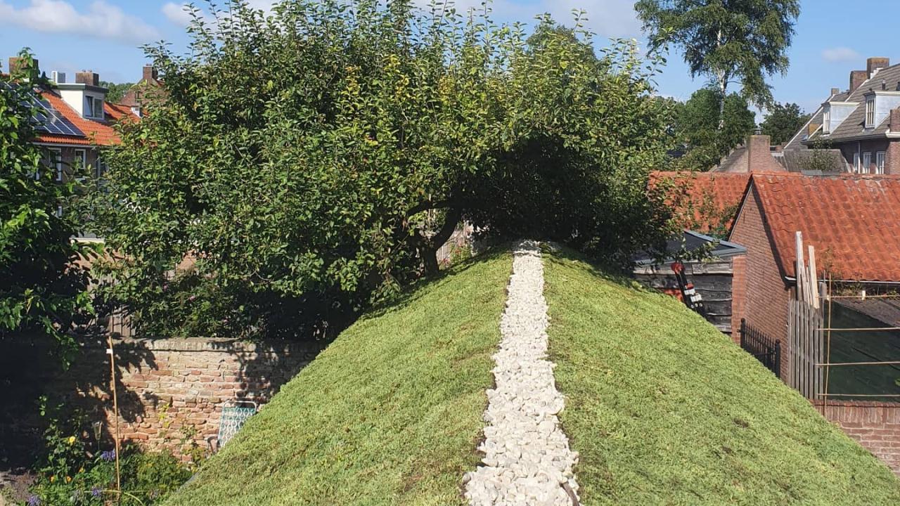 sedum dak beurs eigen huis