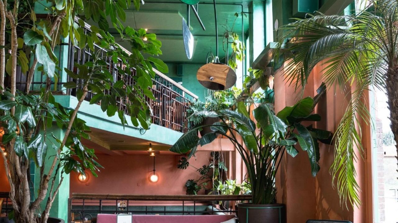 plant realiseer je droomhuis