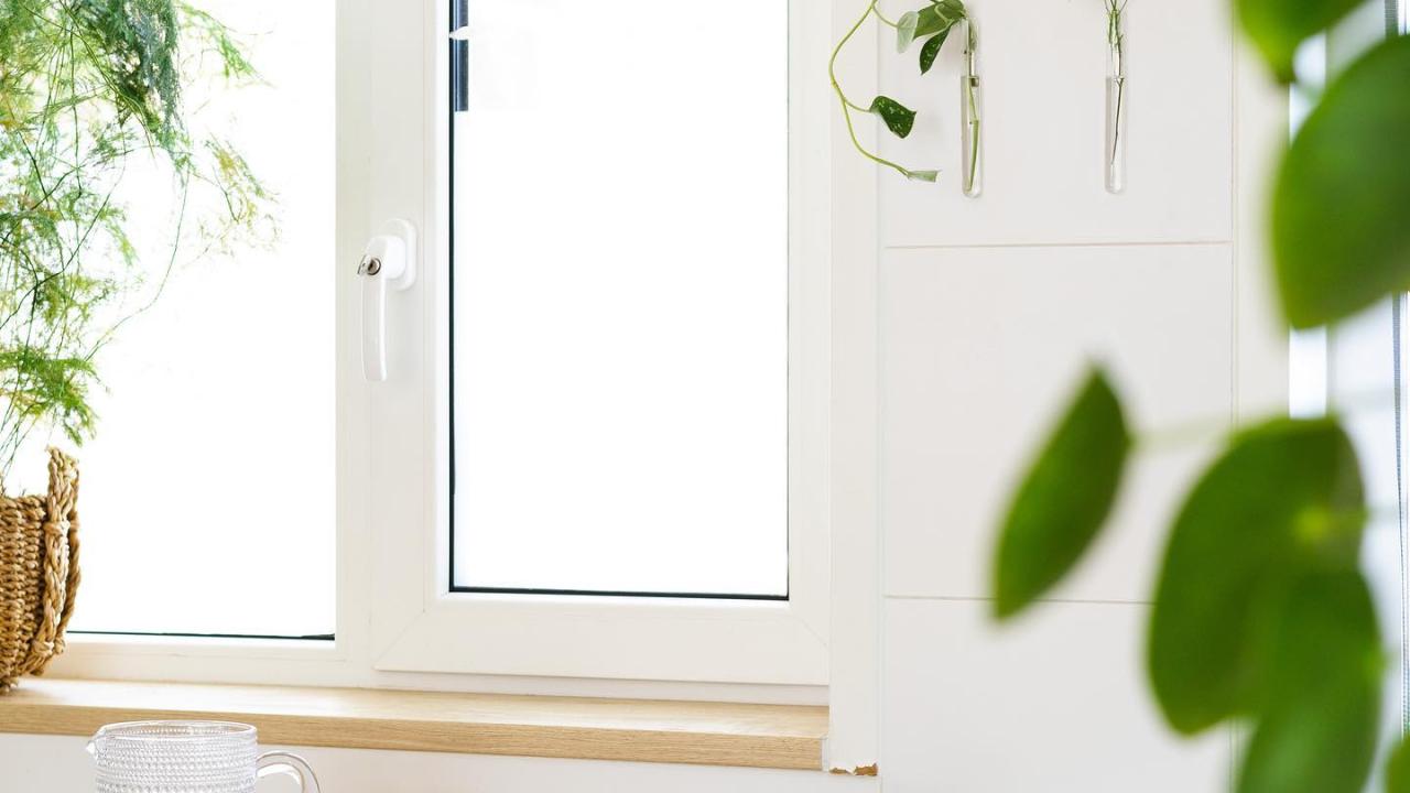 muur bloem beurs eigen huis