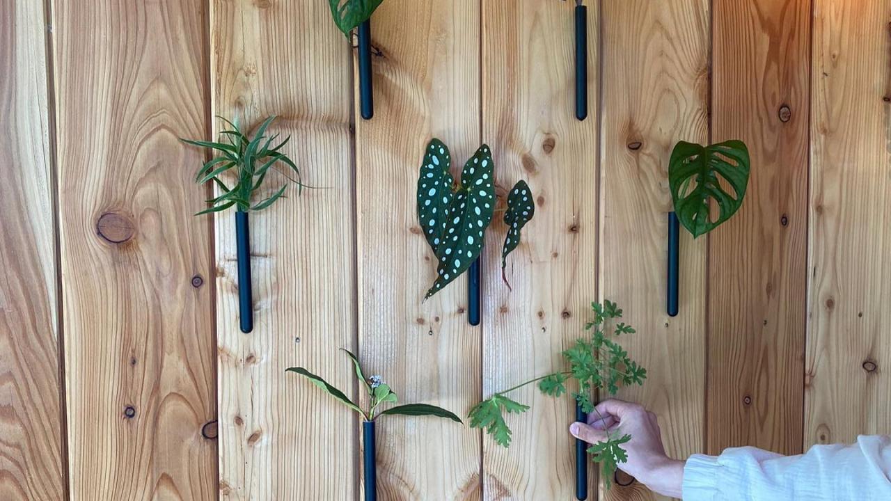 muur bloem beurs eigen huis