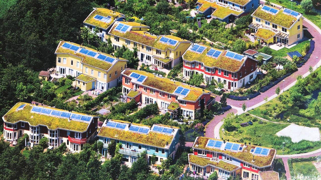 REALISEERJEDOORMHUIS Sedumworld