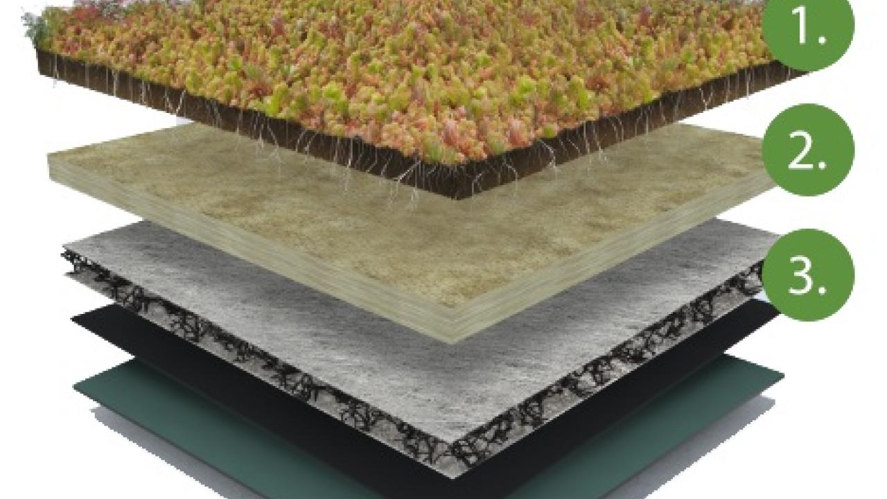 sedum mat beurs eigen huis