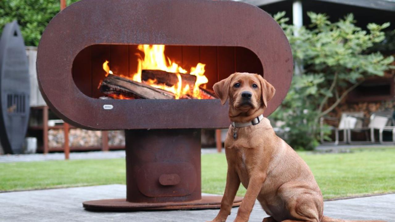 buitenhaar beurs eigen huis