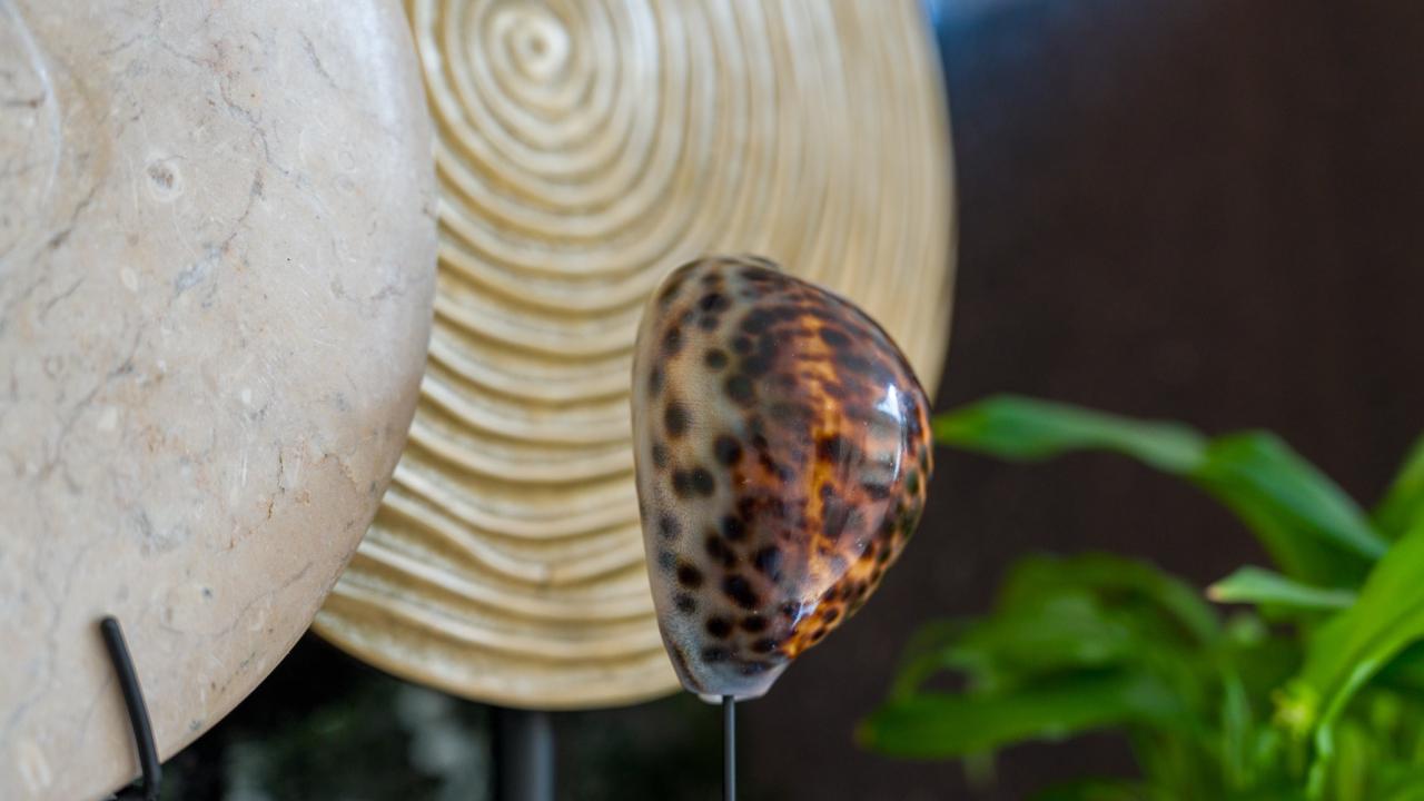 accessoires interieur beurs eigen huis