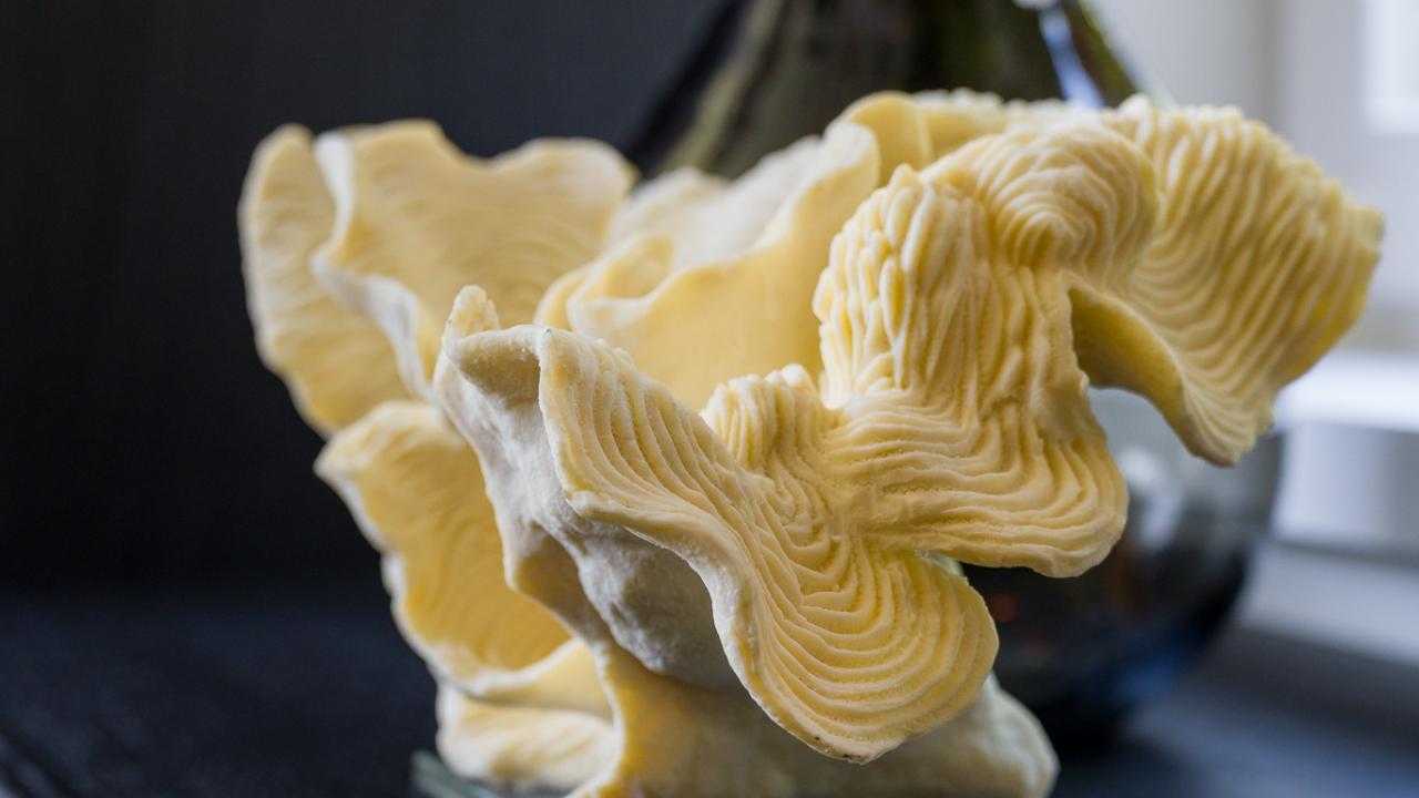 accessoire interieur beurs eigen huis