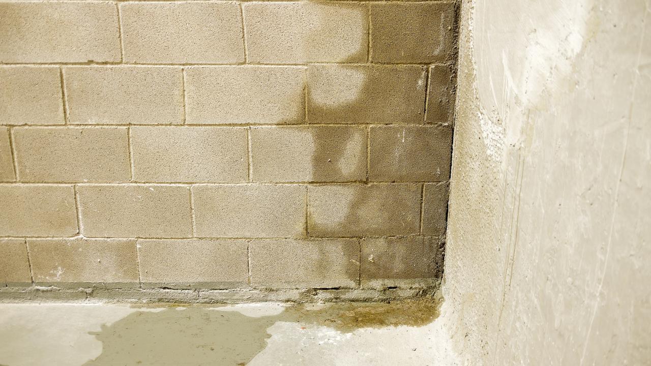 Murprotec Voorjaar 2024 REALISEER JE DROOMHUIS