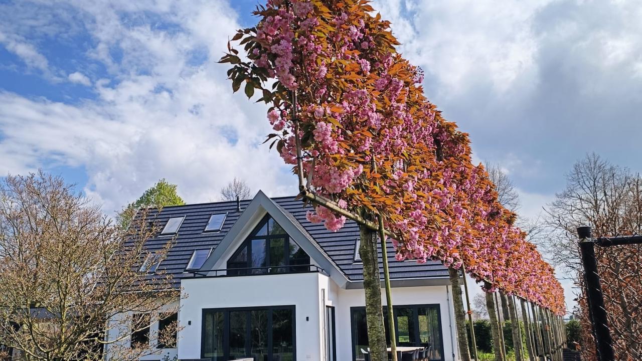 Van den Akker Bomen - Leiboomspecialist Voorjaar 2024 REALISEER JE DROOMHUIS
