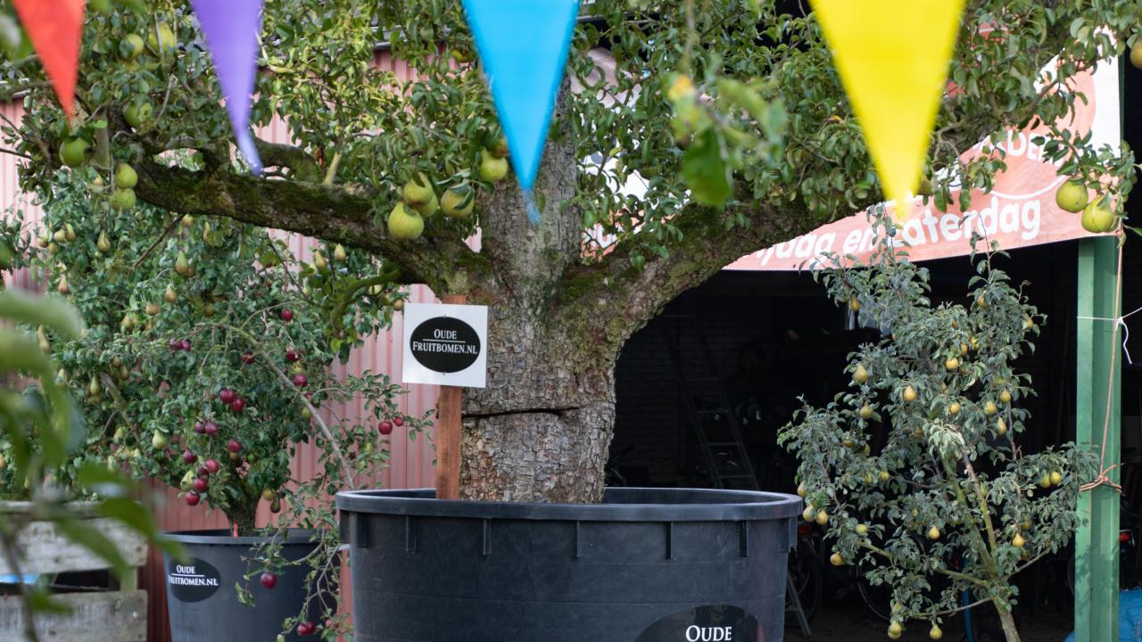 Exposant Oude Fruitbomen Voorjaar 2024 REALISEER JE DROOMHUIS