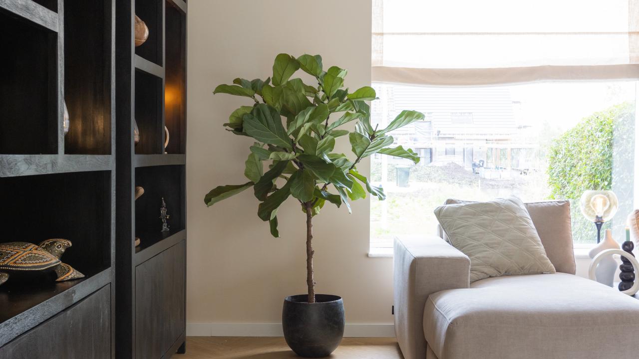 Exposant Green Bubble Voorjaar 2024 BEURS EIGEN HUIS