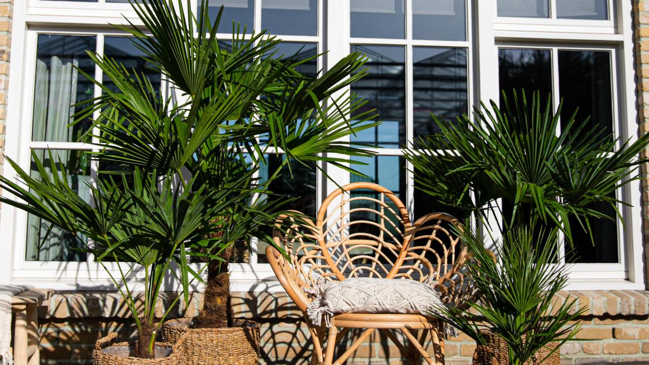 Exposant Green Bubble Voorjaar 2024 BEURS EIGEN HUIS