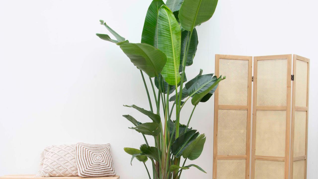 Exposant Green Bubble Voorjaar 2024 BEURS EIGEN HUIS