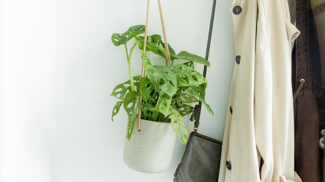 Exposant Green Bubble Voorjaar 2024 BEURS EIGEN HUIS