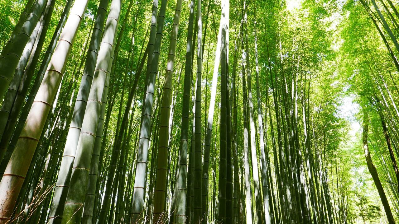 Exposant Nieuwebouwen Advies Najaar 2024 BEURS EIGEN HUIS