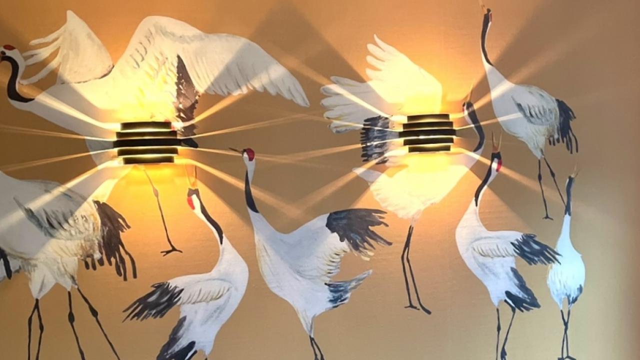 Exposant Catchii Voorjaar 2025 BEURS EIGEN HUIS