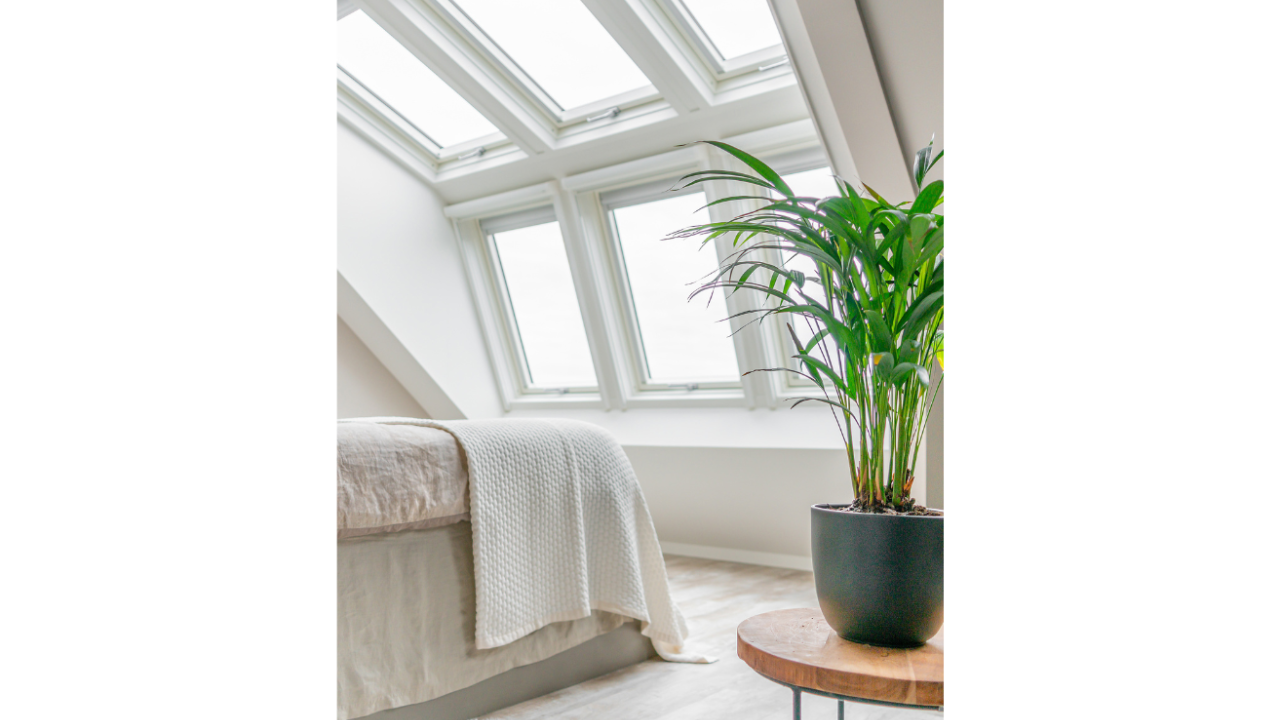 Exposant LUXboX Dakserre Voorjaar 2025 BEURS EIGEN HUIS