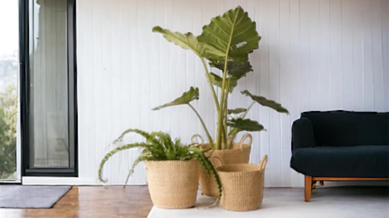 Exposant Winq.shop Najaar 2025 Beurs Eigen Huis