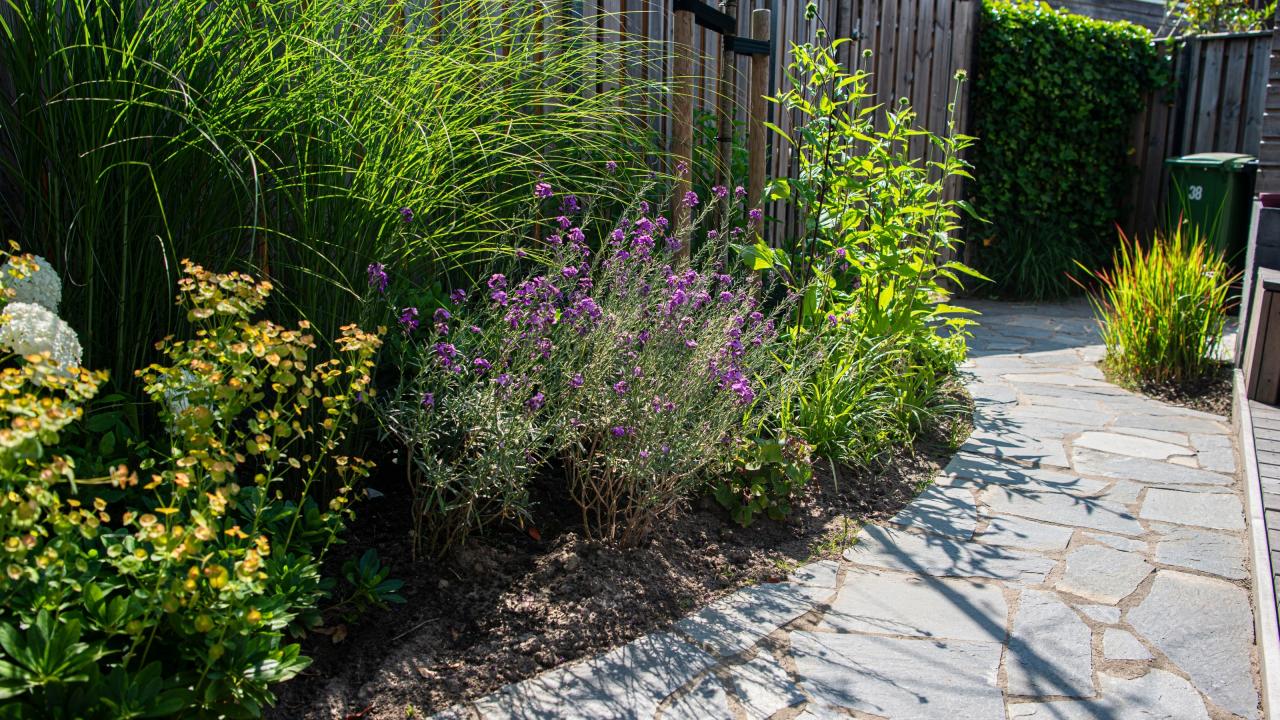 Exposant Greendex Voorjaar 2026 Beurs Eigen Huis