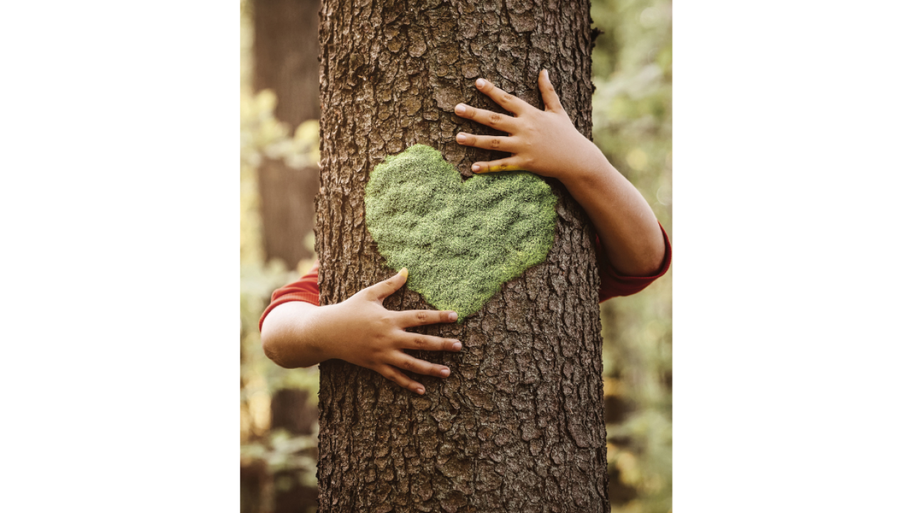 Exposant Terhalle Voorjaar 2026 BEURS EIGEN HUIS