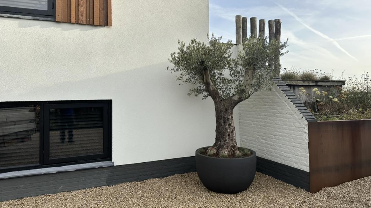 Exposant Palmgarden Voorjaar 2026 BEURS EIGEN HUIS