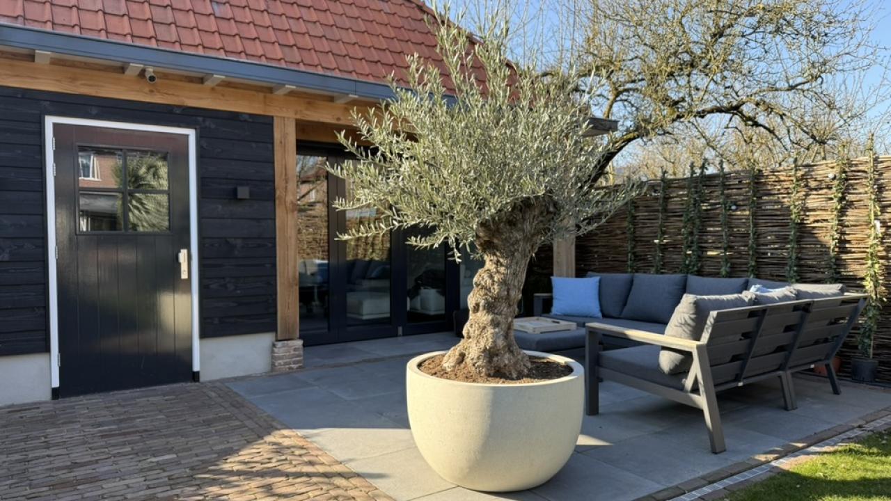 Exposant Palmgarden Voorjaar 2026 BEURS EIGEN HUIS