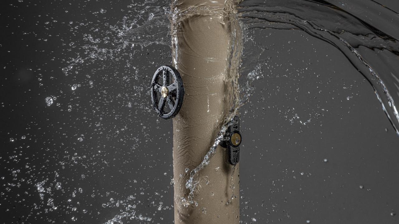 Exposant Domihaus Voorjaar 2026 BEURS EIGEN HUIS