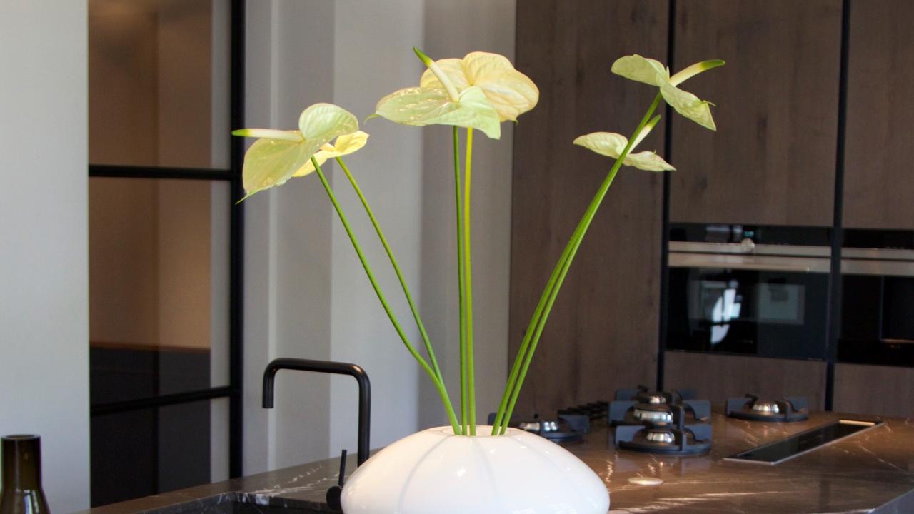 Exposant Studio Zar Voorjaar 2026 BEURS EIGEN HUIS