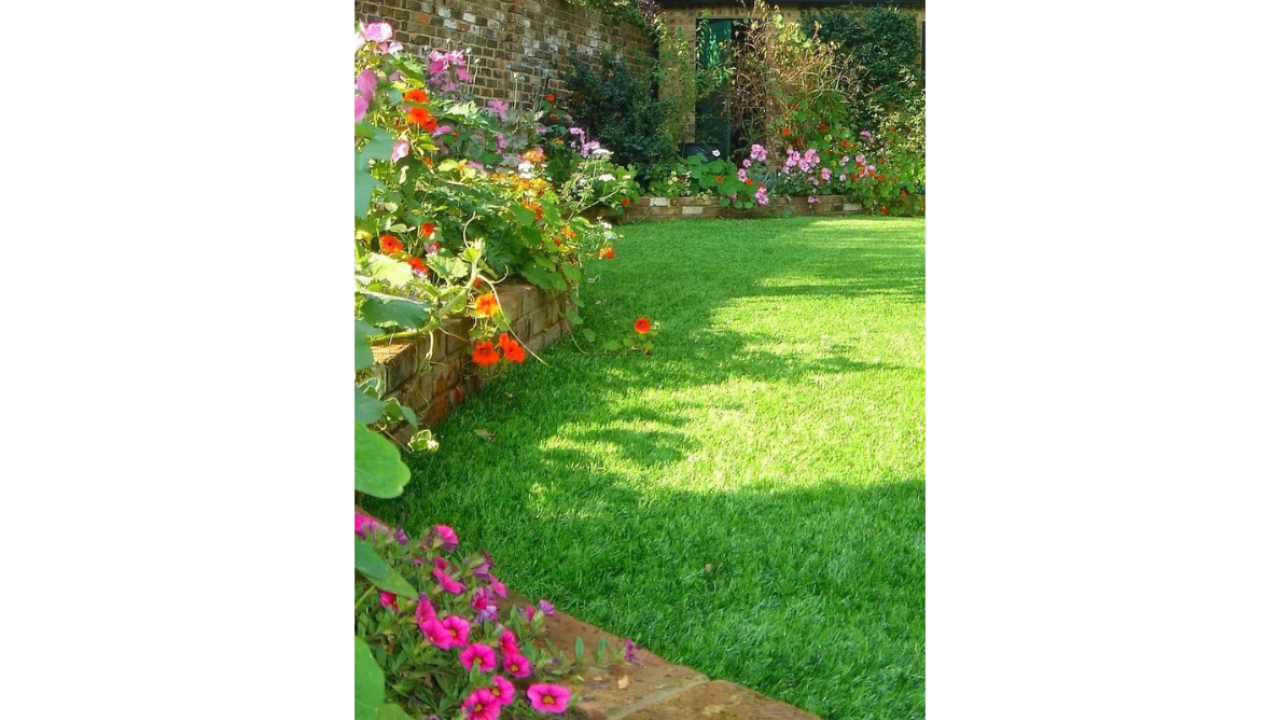 Exposant EasyLawn Kunstgras Expert Voorjaar 2026 BEURS EIGEN HUIS.png