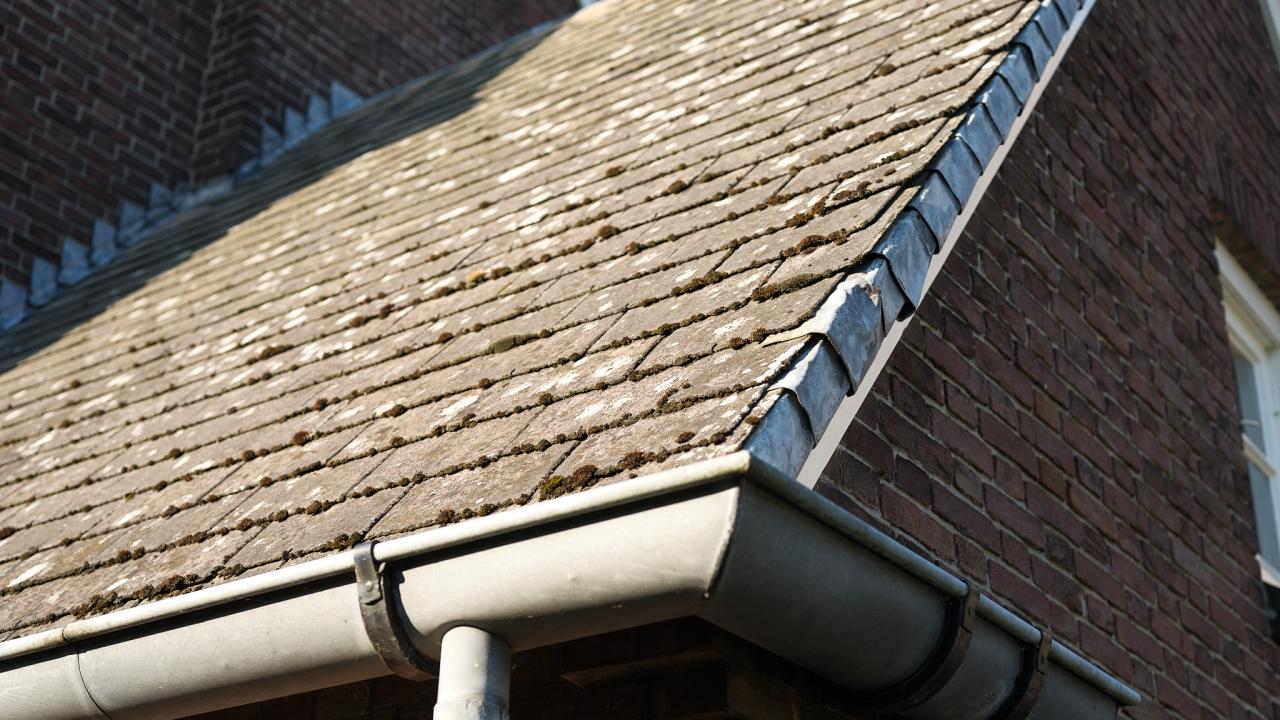 asbest dak beurs eigen huis