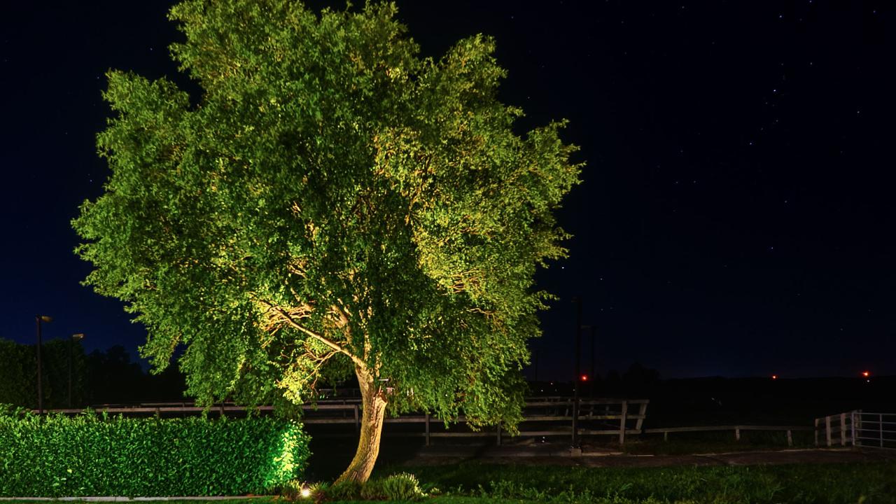 Exposant Suslight Najaar 2026 BEURS EIGEN HUIS
