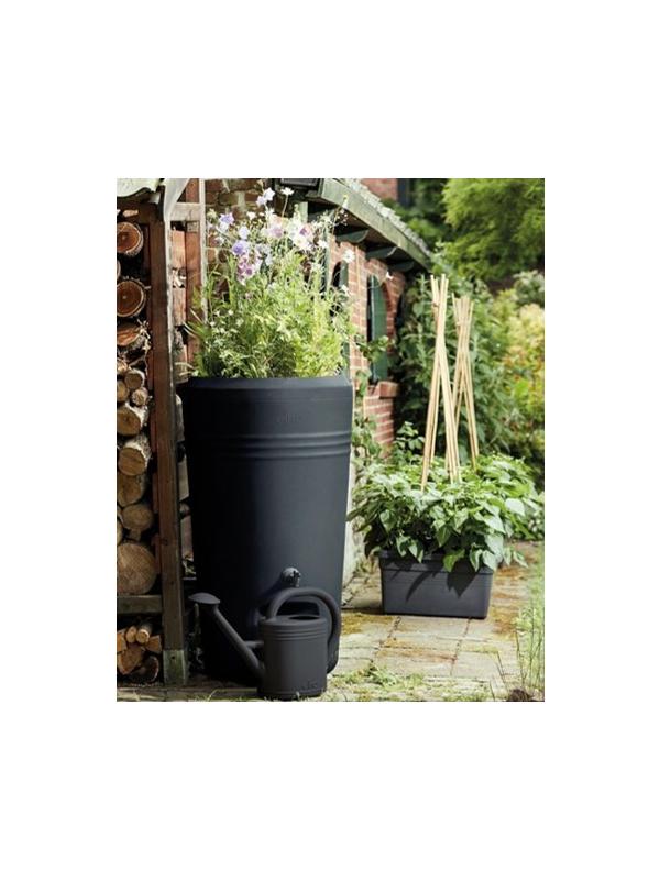 regenton, tuin, webshop, inspiratie, realiseer je droomhuis, droomtuin
