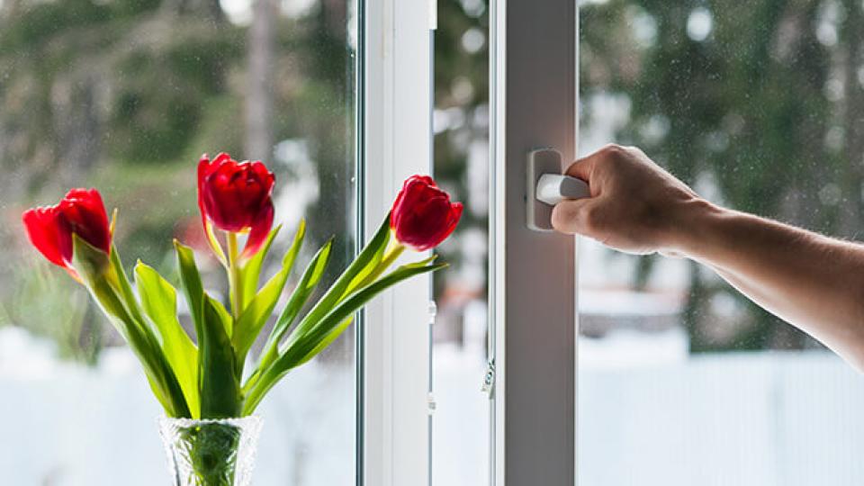 Blog - dubbel glas en kozijnen in uw droomhuis