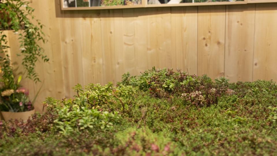 Beurs Eigen Huis bouwen verbouwen tuin groendak duurzaam