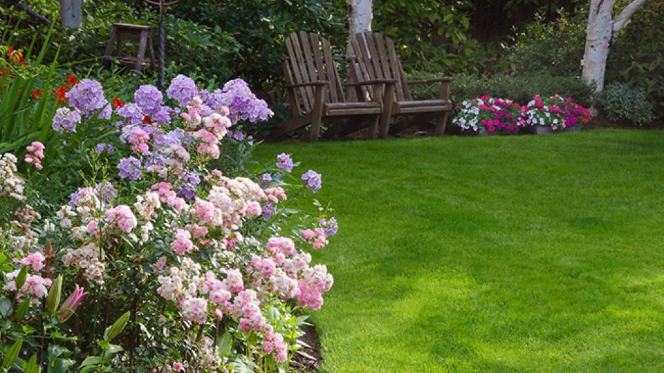 Blog - Met deze tips is het gras nooit meer groener bij de buren