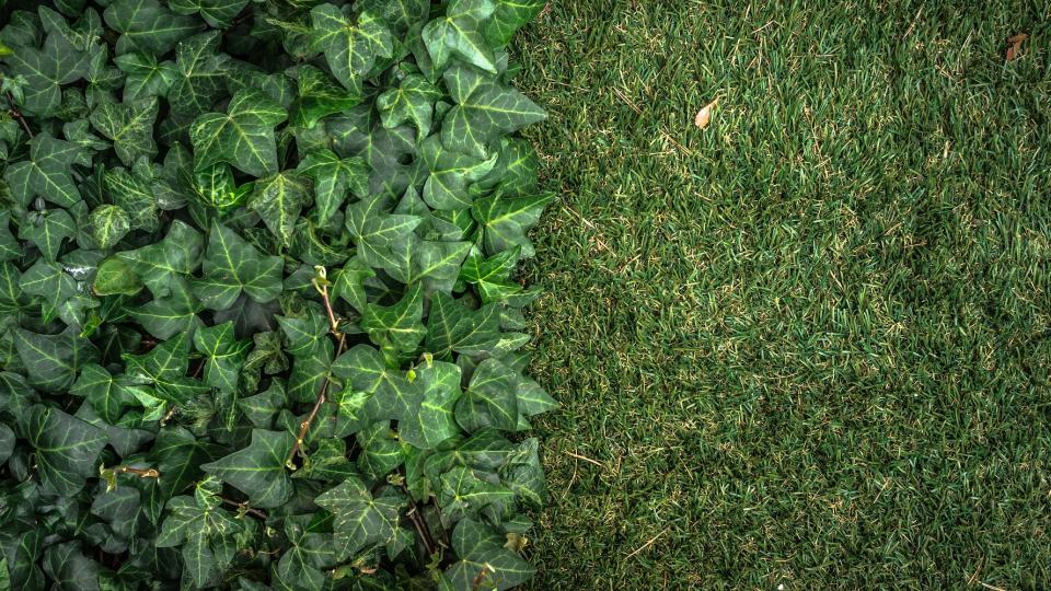 Beurs Eigen Huis tuin advies en inspiratie kunstgras